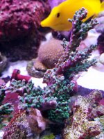 20201223_235256.jpg