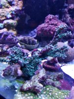20201224_001220.jpg