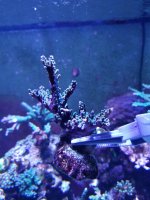20201224_001654.jpg