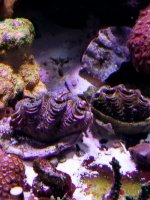 20201224_001942.jpg