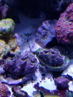20201224_003128.jpg