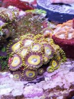 20201223_235756.jpg