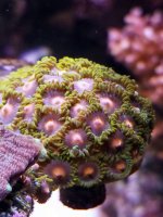20201223_235829.jpg