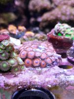 20201223_235949.jpg