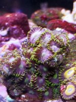 20201223_235752.jpg