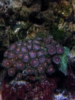 20201224_002332.jpg
