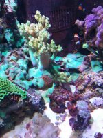20201224_003338.jpg