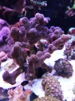 20201224_000136.jpg