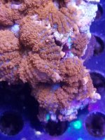 20201226_154751.jpg