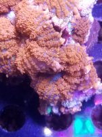 20201226_154757.jpg