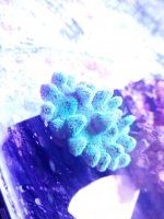20201226_193443.jpg