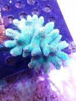 20201226_154822.jpg