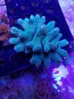 20201226_154831.jpg