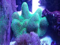 20201226_193541.jpg