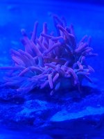 20201227_161943.jpg