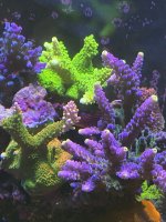 image3.jpeg