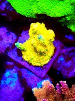 20201208_193221.jpg