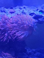 20201225_155503.jpg
