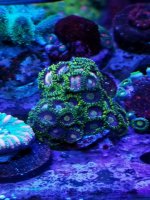 20201229_175041.jpg