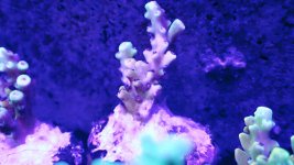 20201229_215721.jpg