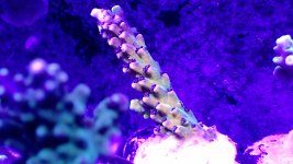 20201229_215831.jpg