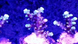 20201229_215840.jpg