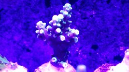 20201229_215911.jpg