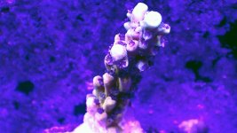 20201229_215925.jpg