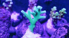 20201229_215515.jpg