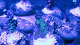 20201229_215604.jpg