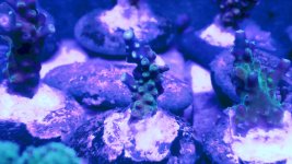 20201229_215620.jpg