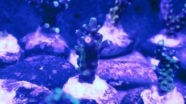 20201229_215644.jpg