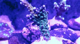 20201229_215658.jpg