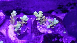 20201229_220415.jpg