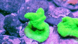 20201229_215946.jpg