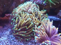 20201228_133721.jpg