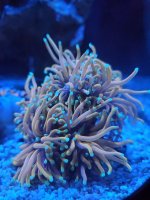 20201109_170443.jpg