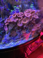 45FDAE31-0D6F-4447-B2FD-CE2CACE7283B.jpeg