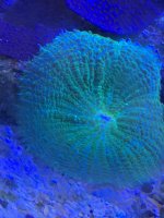 A7E11837-70DE-4CBE-9FA9-D8BCDB443C05.jpeg