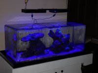 IMG_7793.JPG