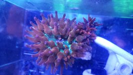 20201228_130854.jpg