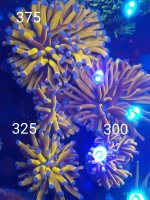 IMG_20210115_125223275~2.jpg