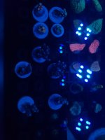 20210116_184830.jpg