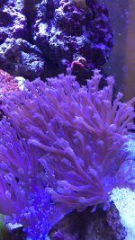 E5E92B1E-DC98-4BA8-9D7B-0D2733C325F6.jpeg