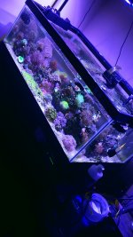 20200830_123257.jpg