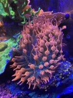 161F02C5-358D-443A-84D3-A47C2E598E8C.jpeg