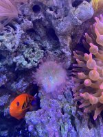 IMG_7746.jpeg