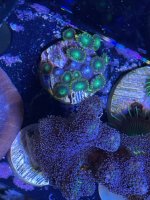 IMG_0648.jpg