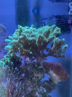 IMG_0651.jpg