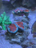 IMG_0653.jpg